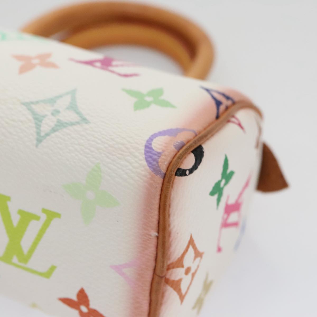Speedy 25 Handbag Multicolore M92662