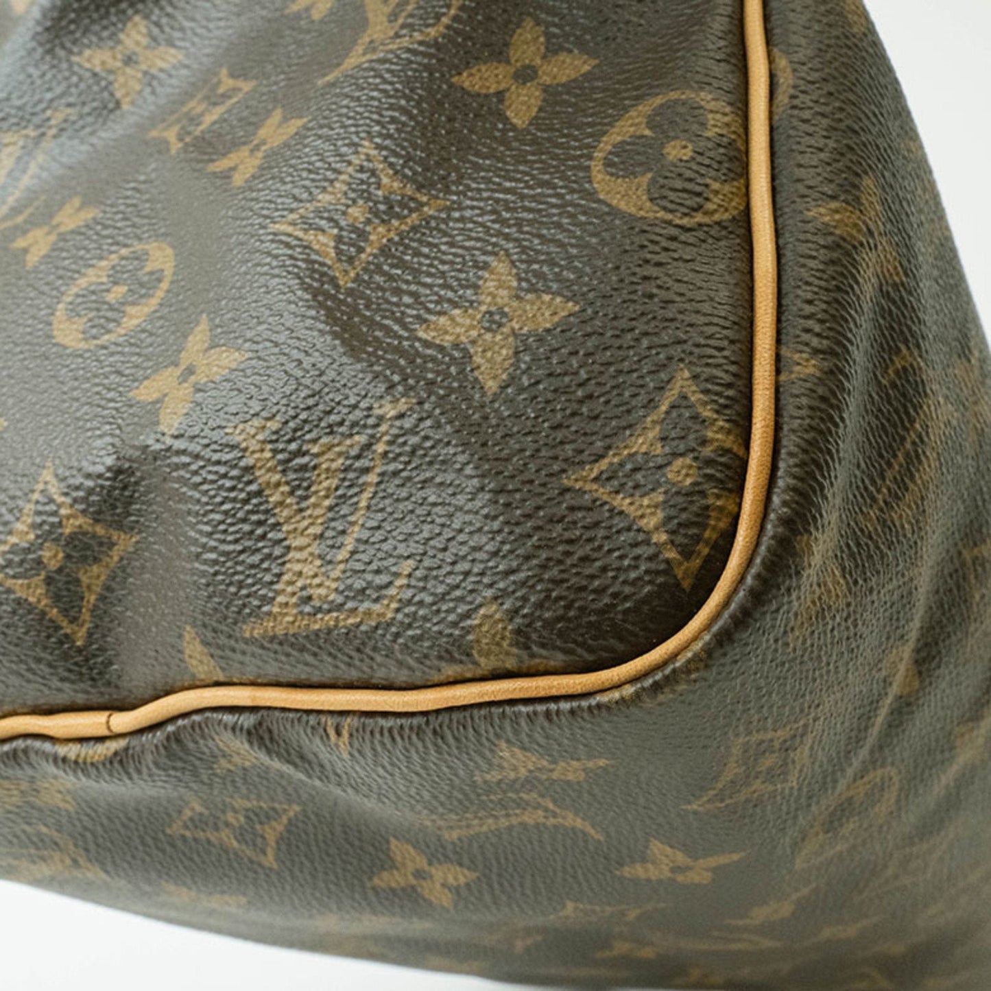 Speedy 25 Monogram Canvas Satchel