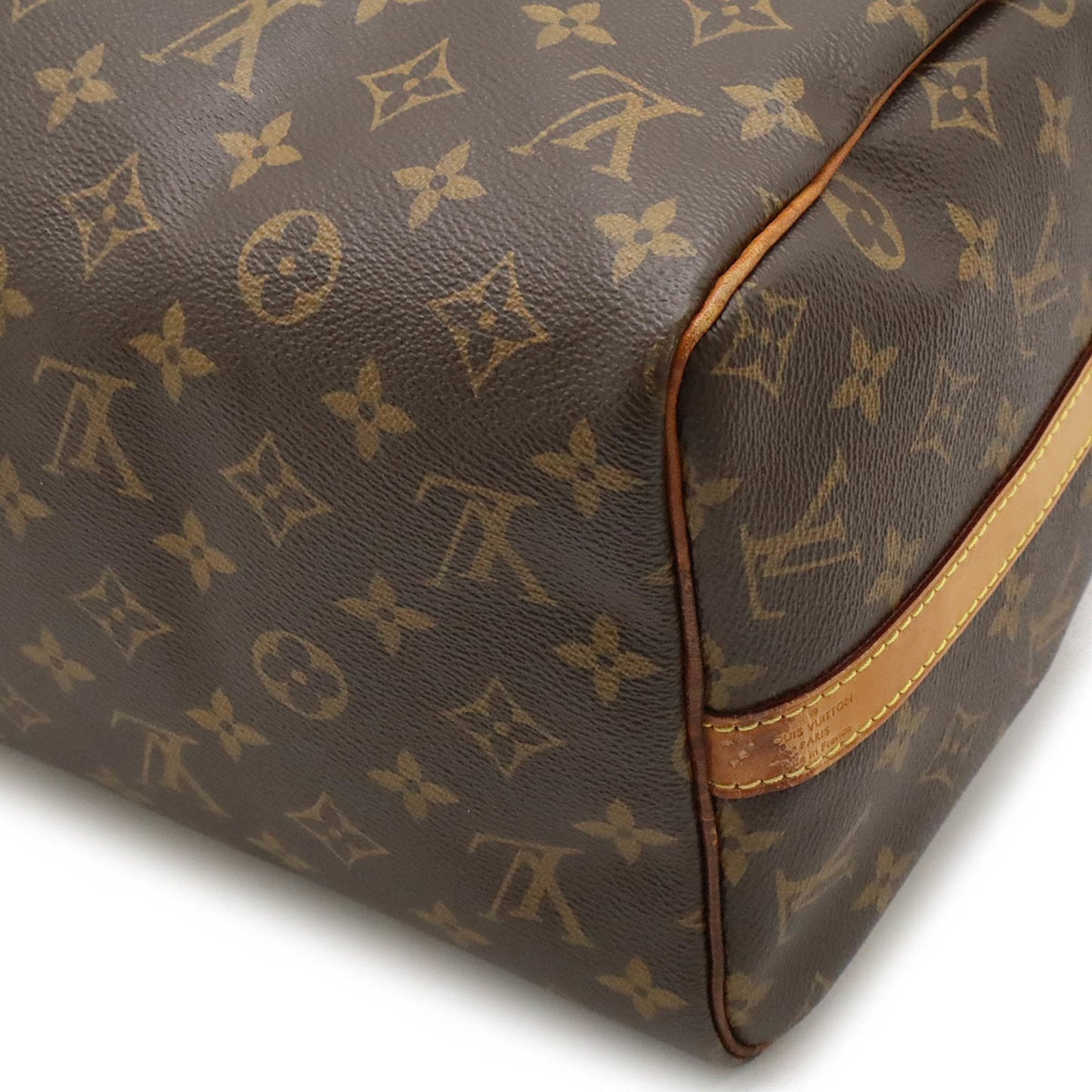 Speedy 25 Monogram Canvas Handbag