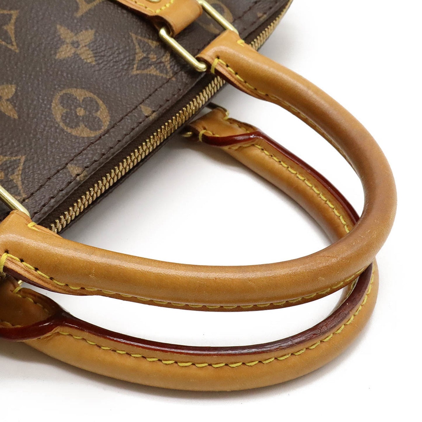 Speedy 25 Monogram Canvas Handbag