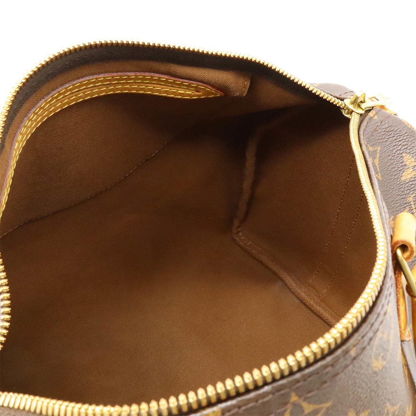 Speedy 25 Monogram Canvas Handbag