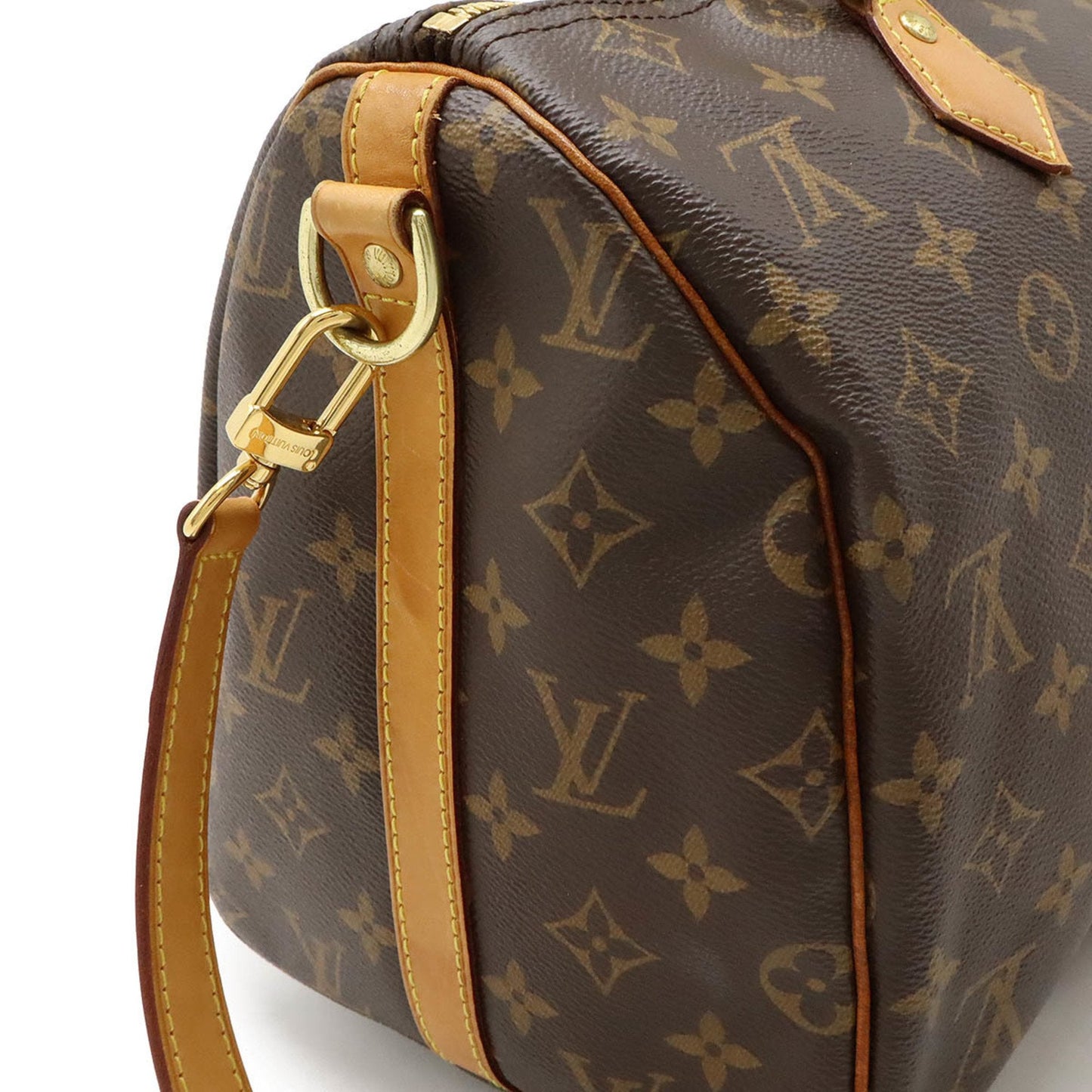 Speedy 25 Monogram Canvas Handbag