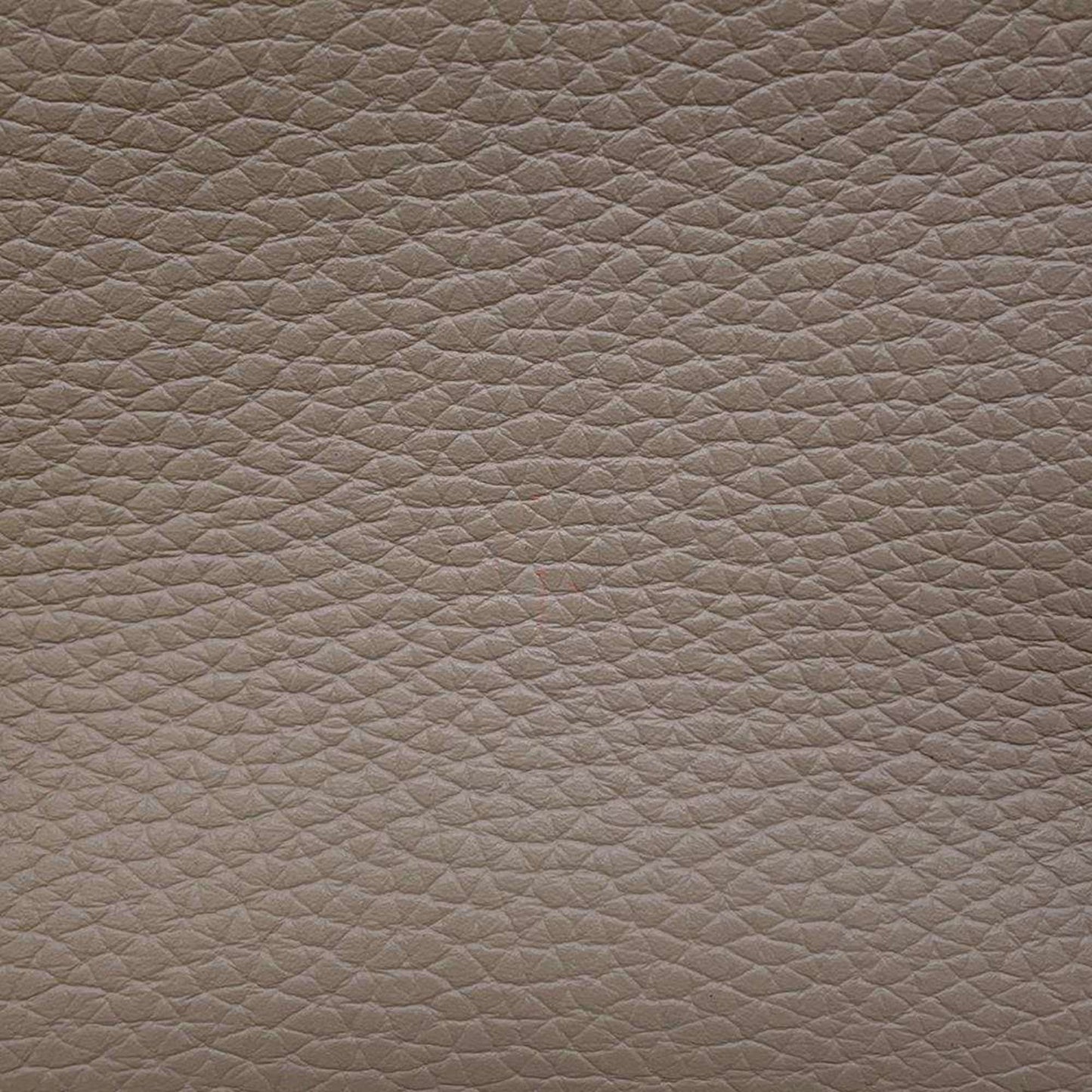 Leather Capucines Bag with Dust Bag and Shoulder Strap