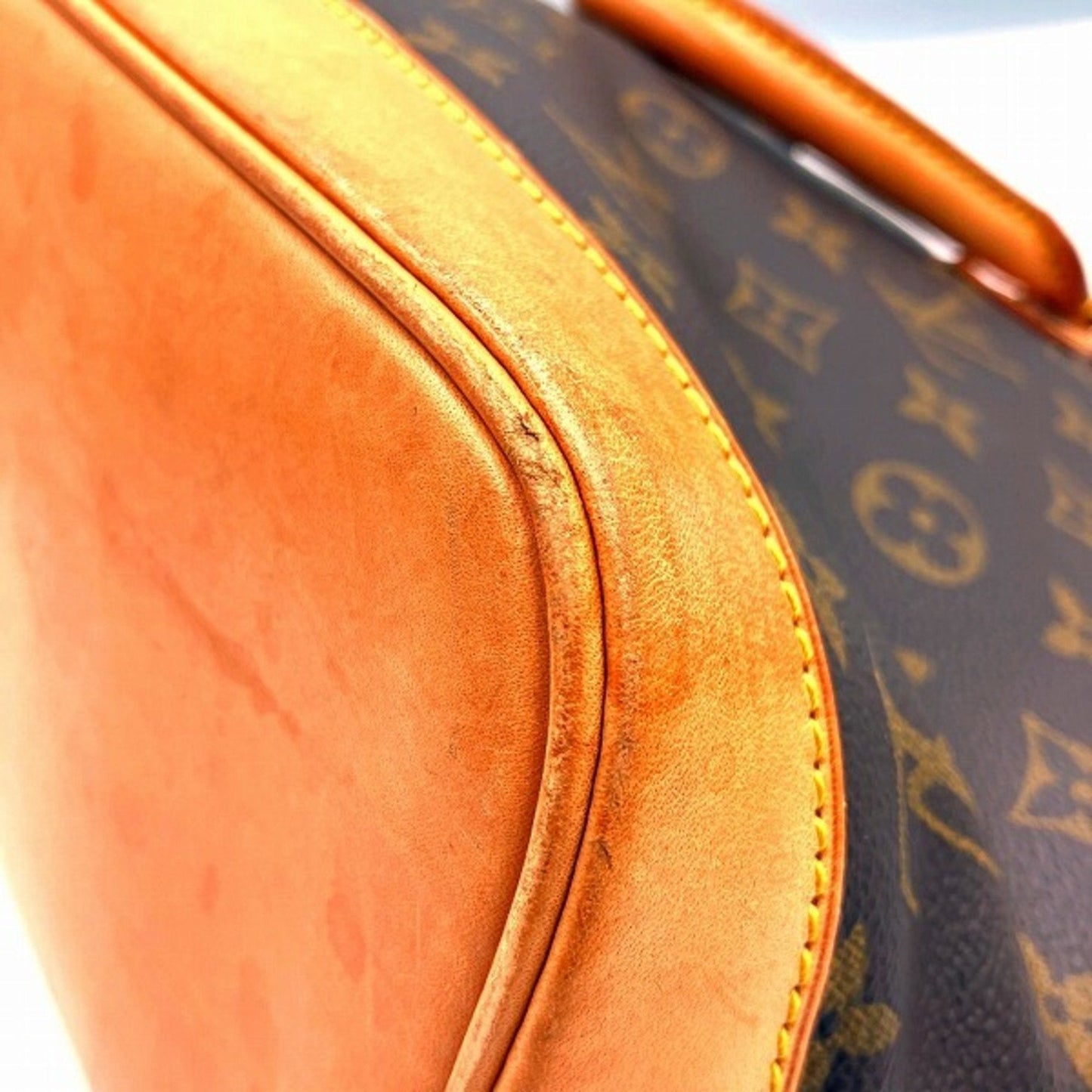 Speedy 25 Monogram Handbag