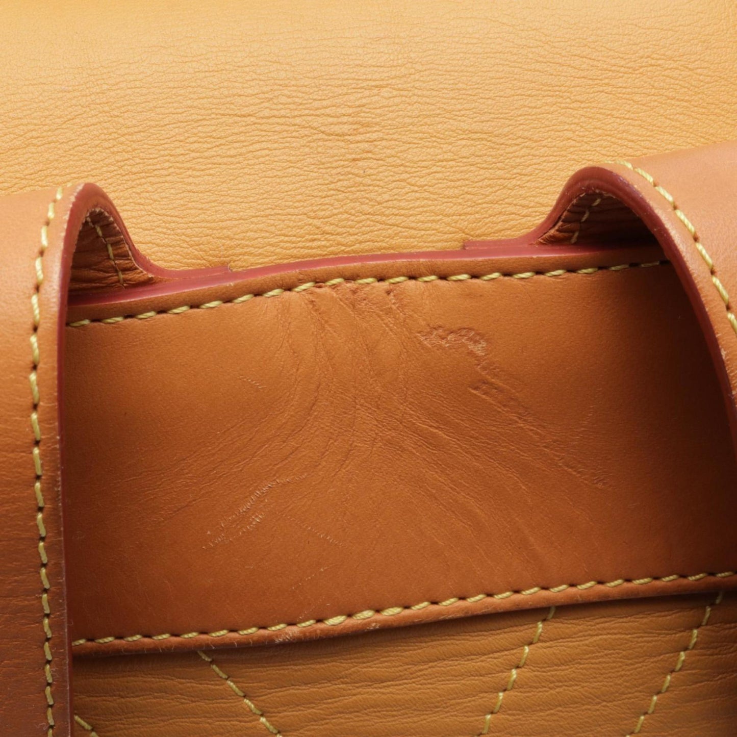 Luxury Leather Backpack with Dust Bag