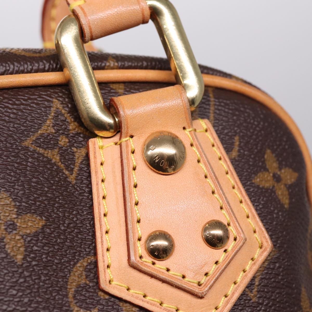 Mini Pochette Accessoires Monogram