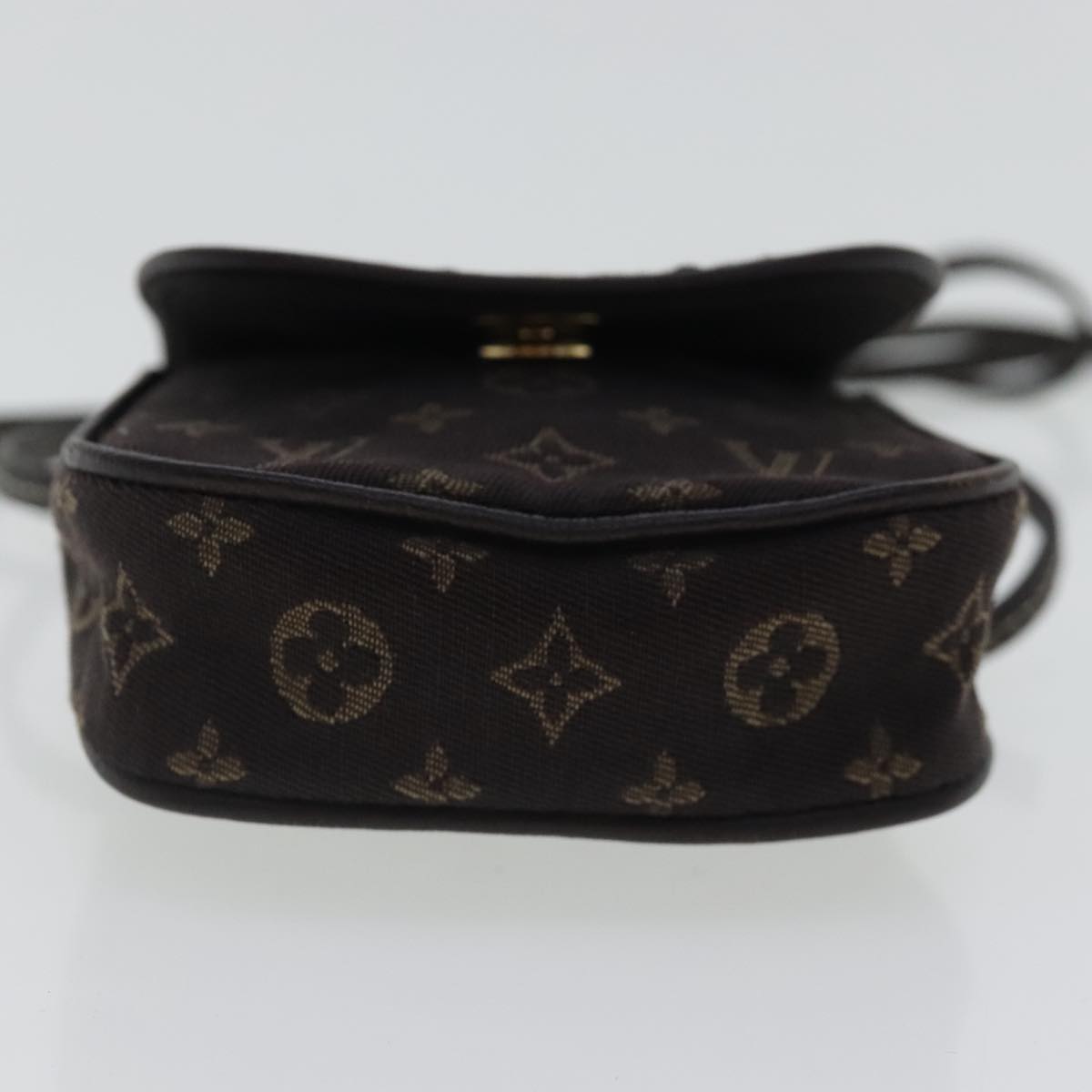 Mini Pochette Accessories Monogram