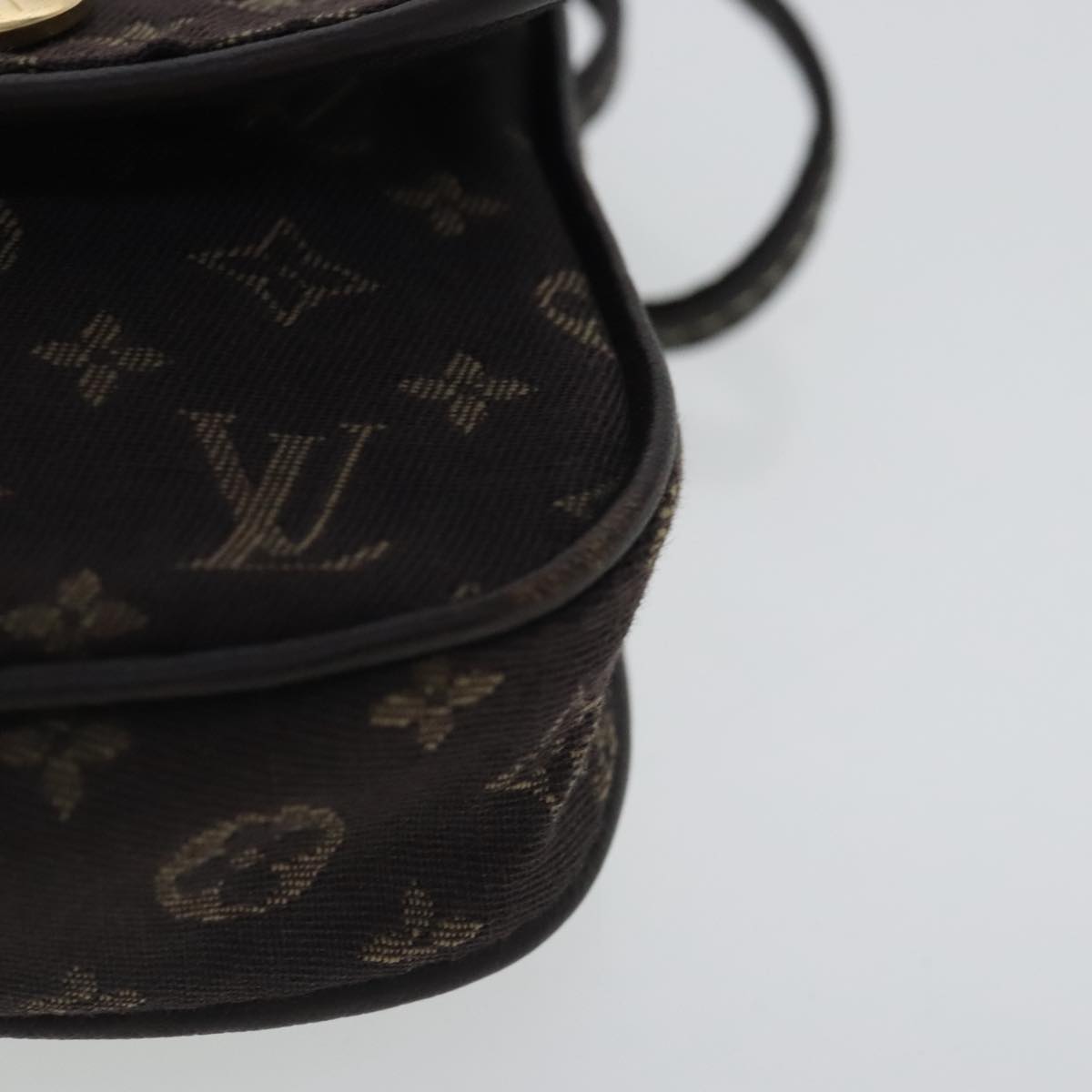 Mini Pochette Accessories Monogram