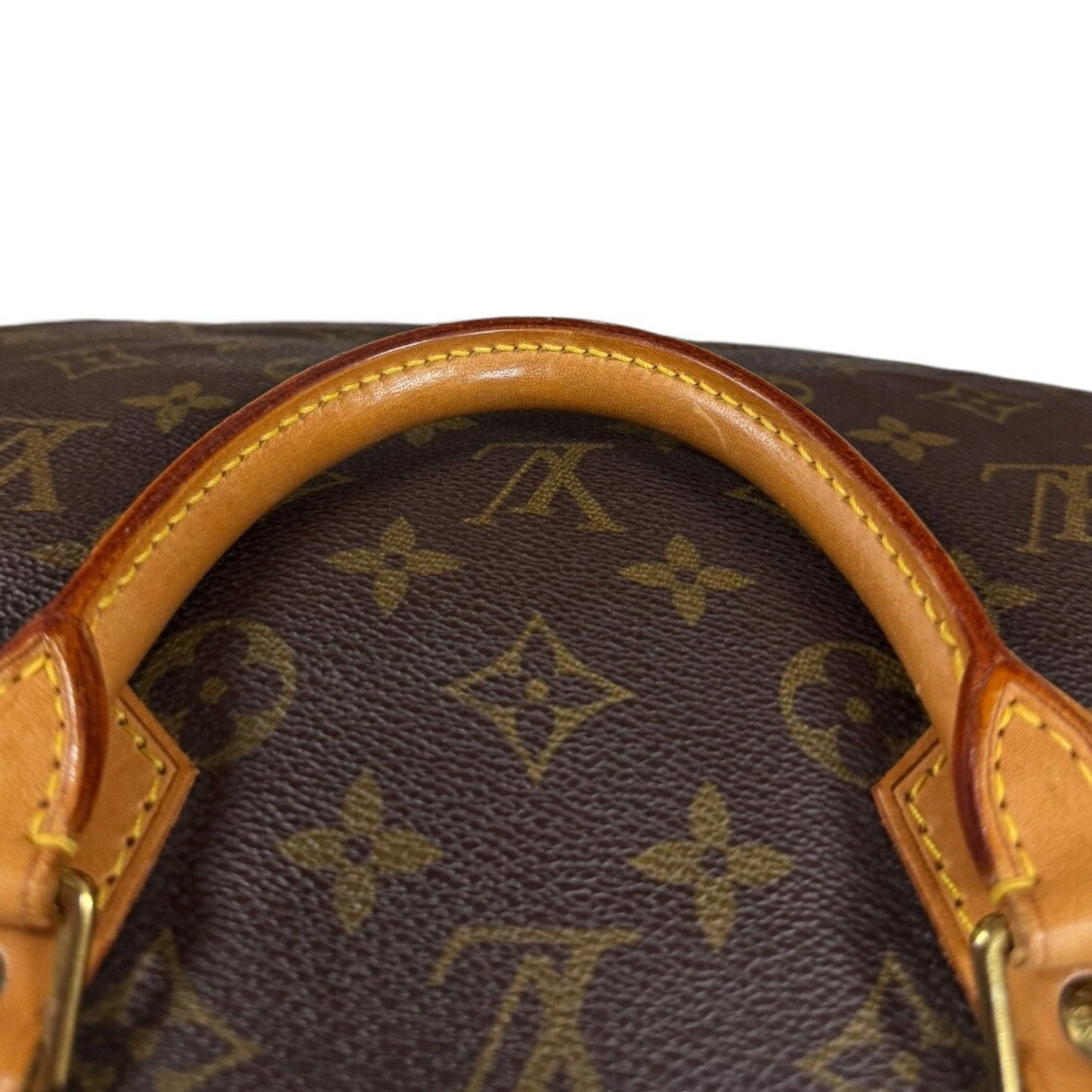 Speedy 30 Monogram Canvas Handbag