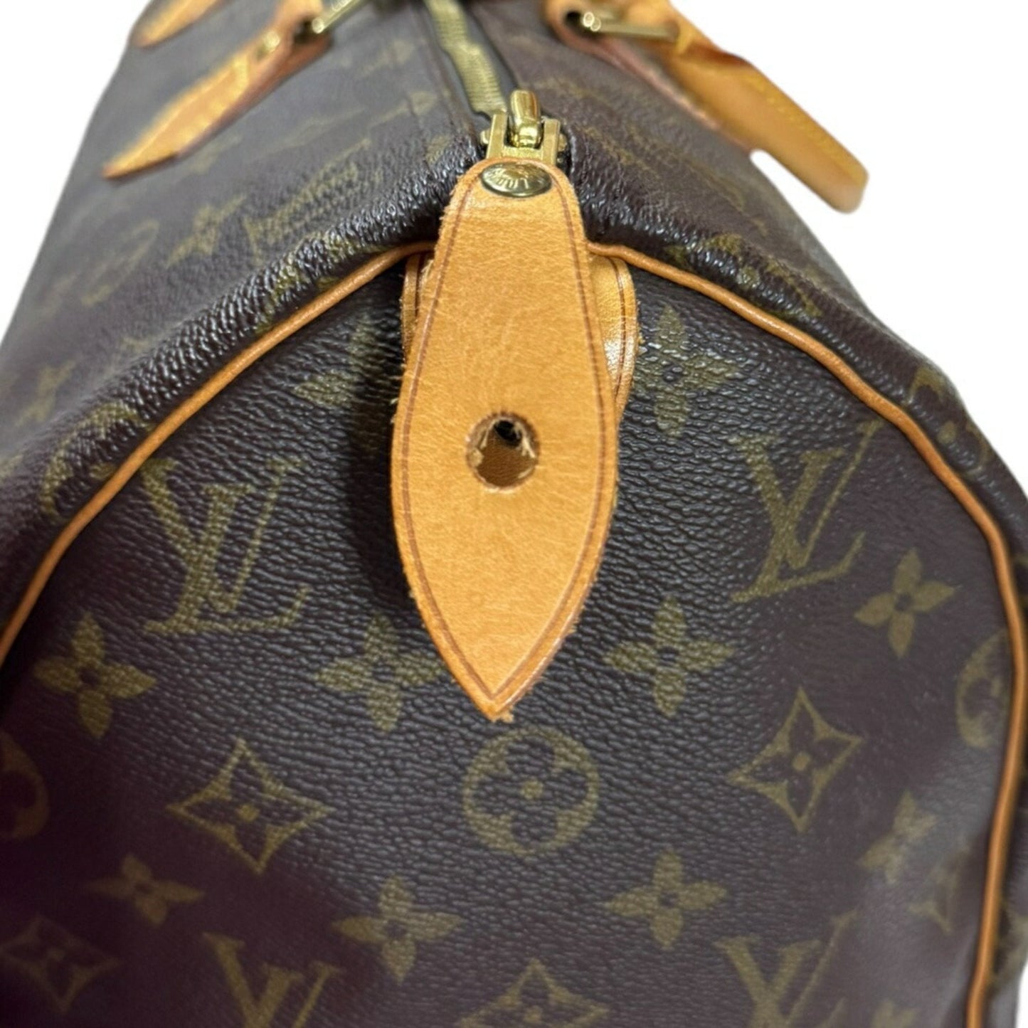Speedy 30 Monogram Canvas Handbag