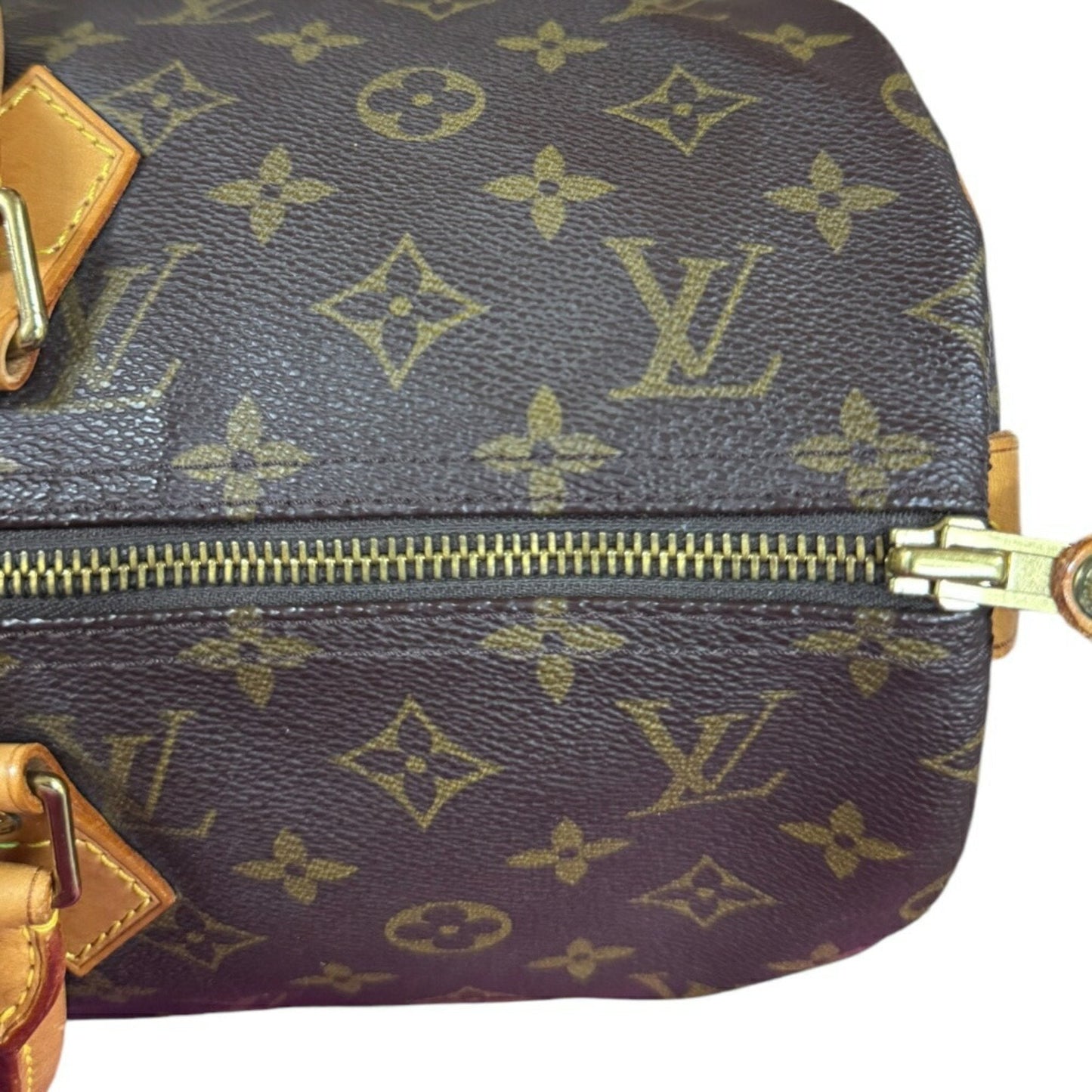 Speedy 30 Monogram Canvas Handbag