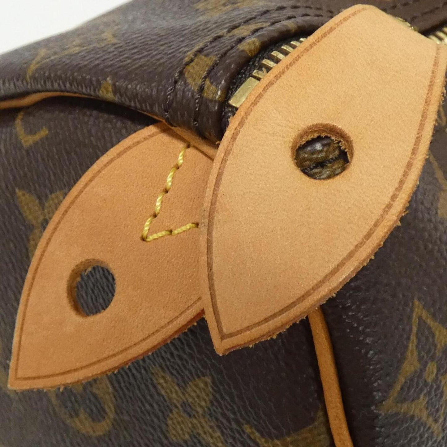 Iconic Monogram Canvas Speedy Bag with Dust Bag and Padlock