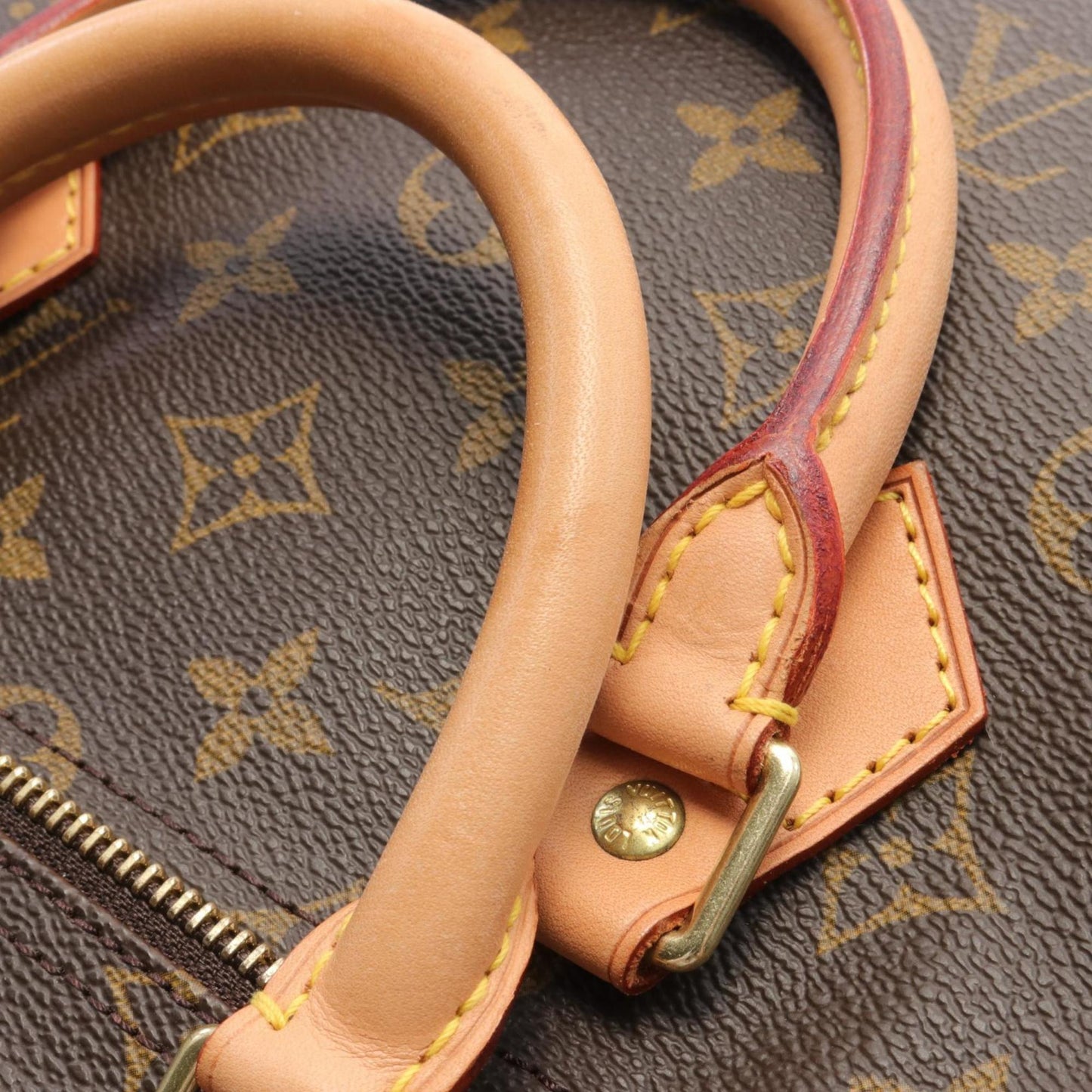 Designer Canvas Speedy Bag in Good Condition