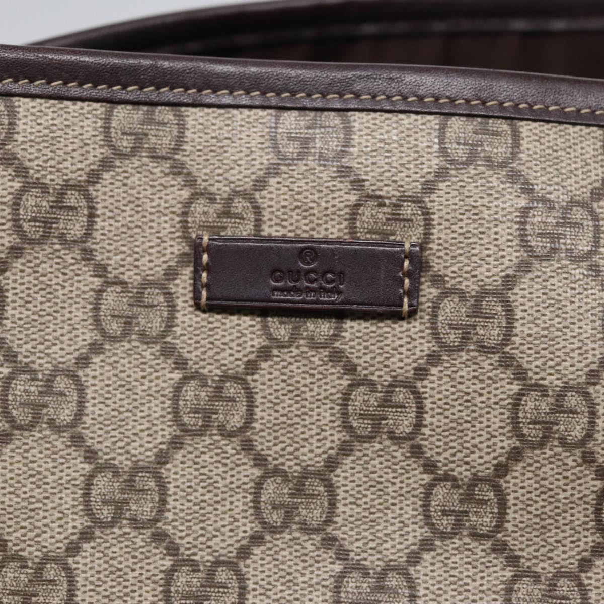 Gucci GG canvas