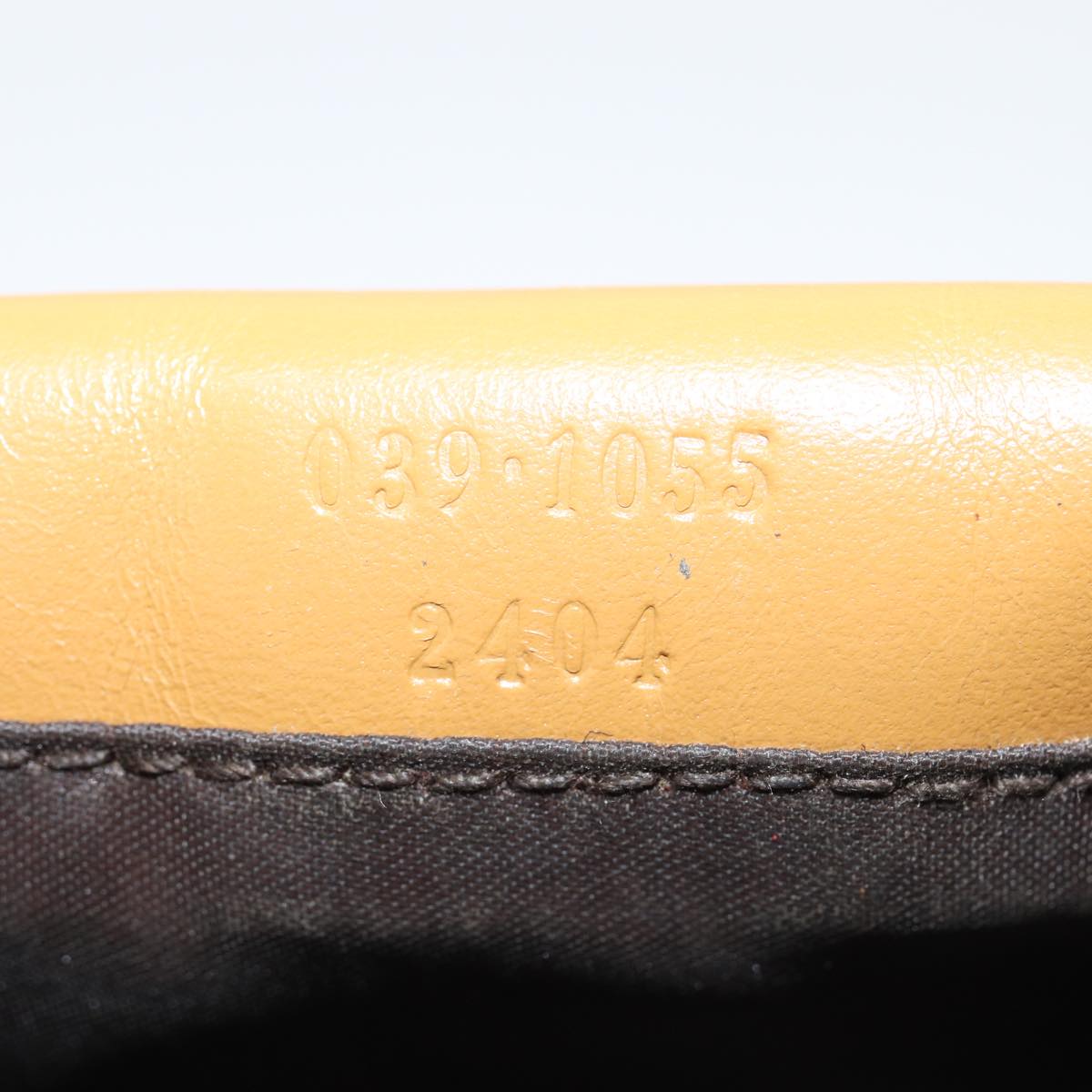Gucci GG canvas