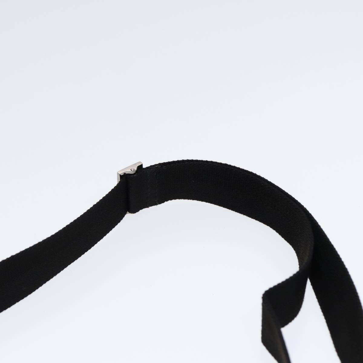 Gucci GG canvas