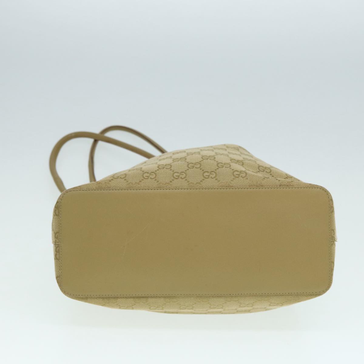 Gucci GG canvas