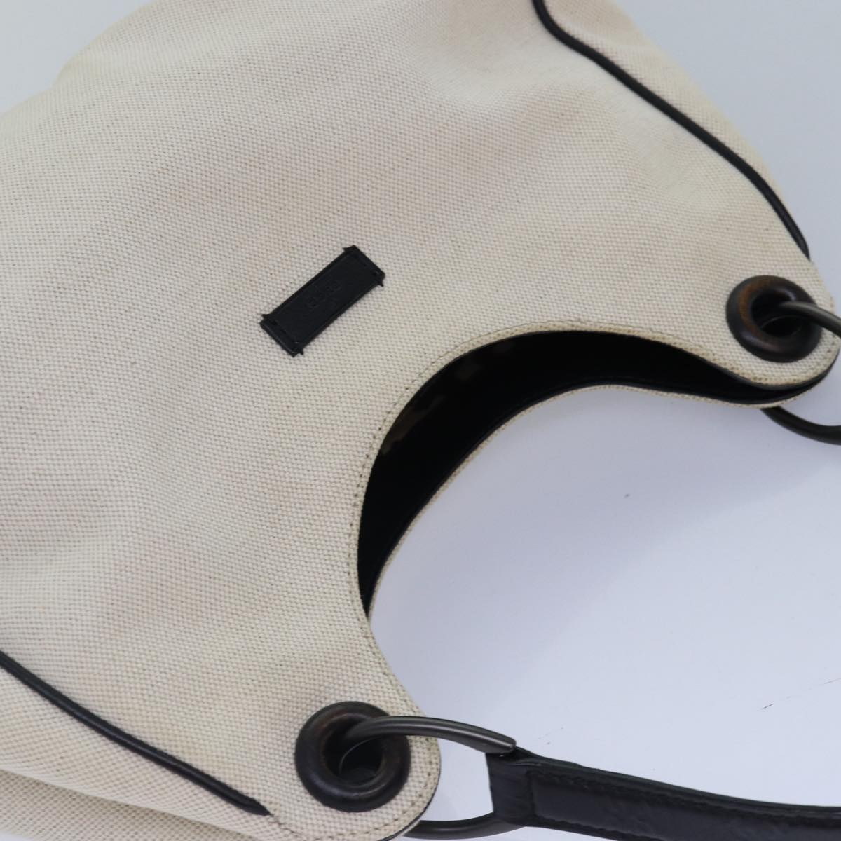 Gucci GG canvas