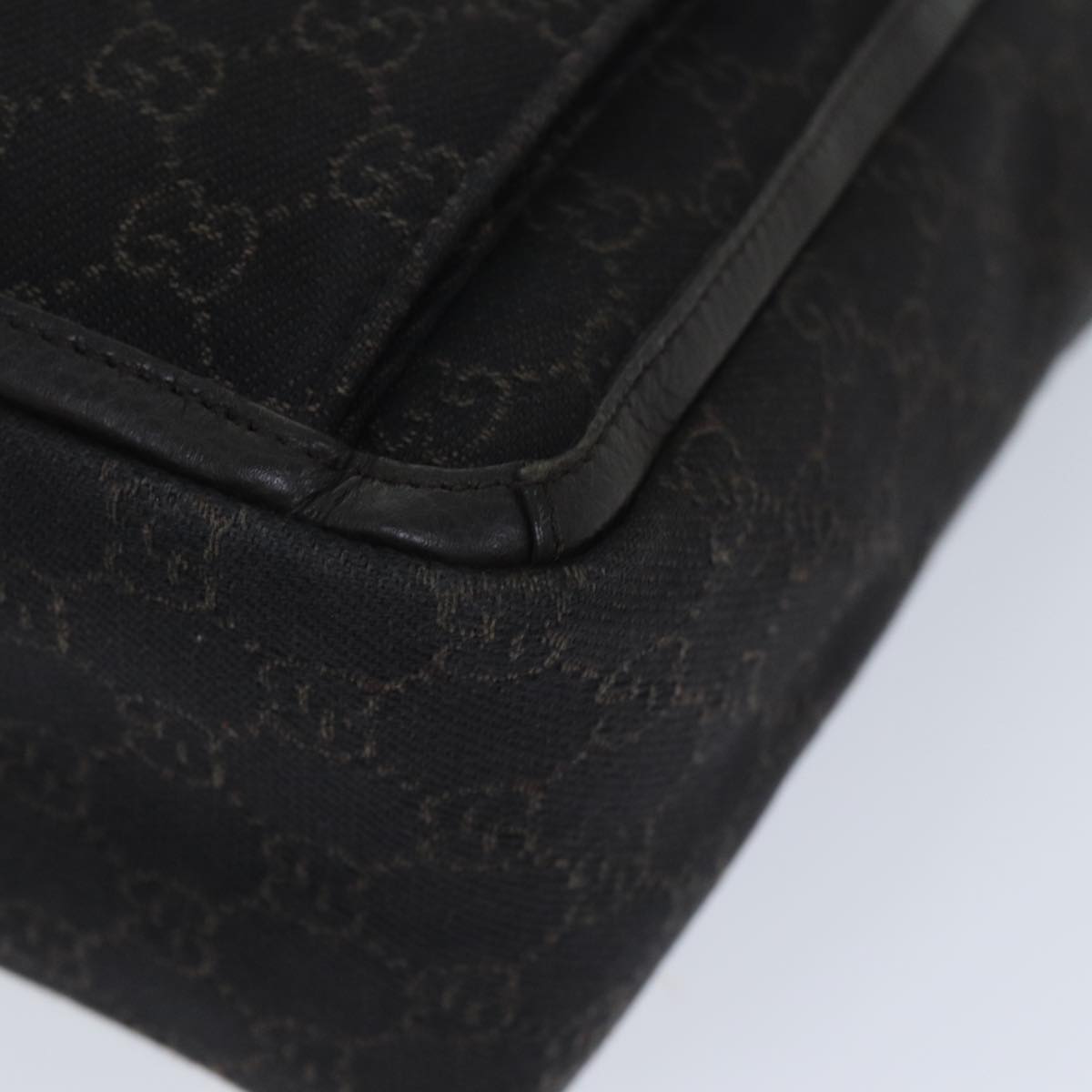 Gucci GG canvas