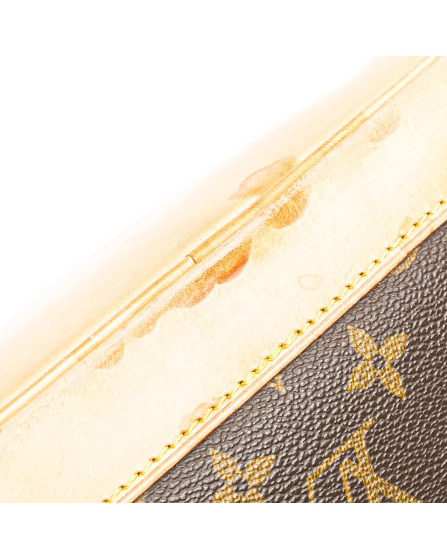 Monogram Canvas Alma PM with Vachetta Leather Trim