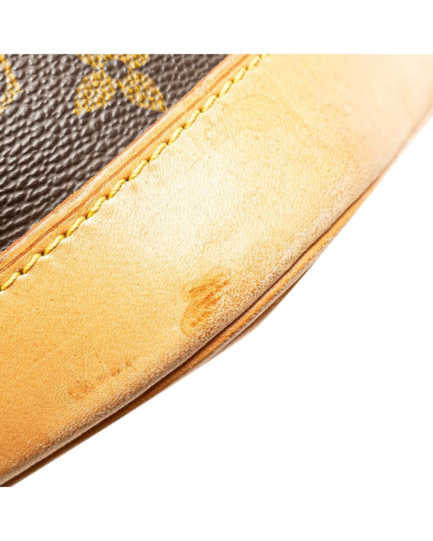 Monogram Canvas Alma PM with Vachetta Leather Trim
