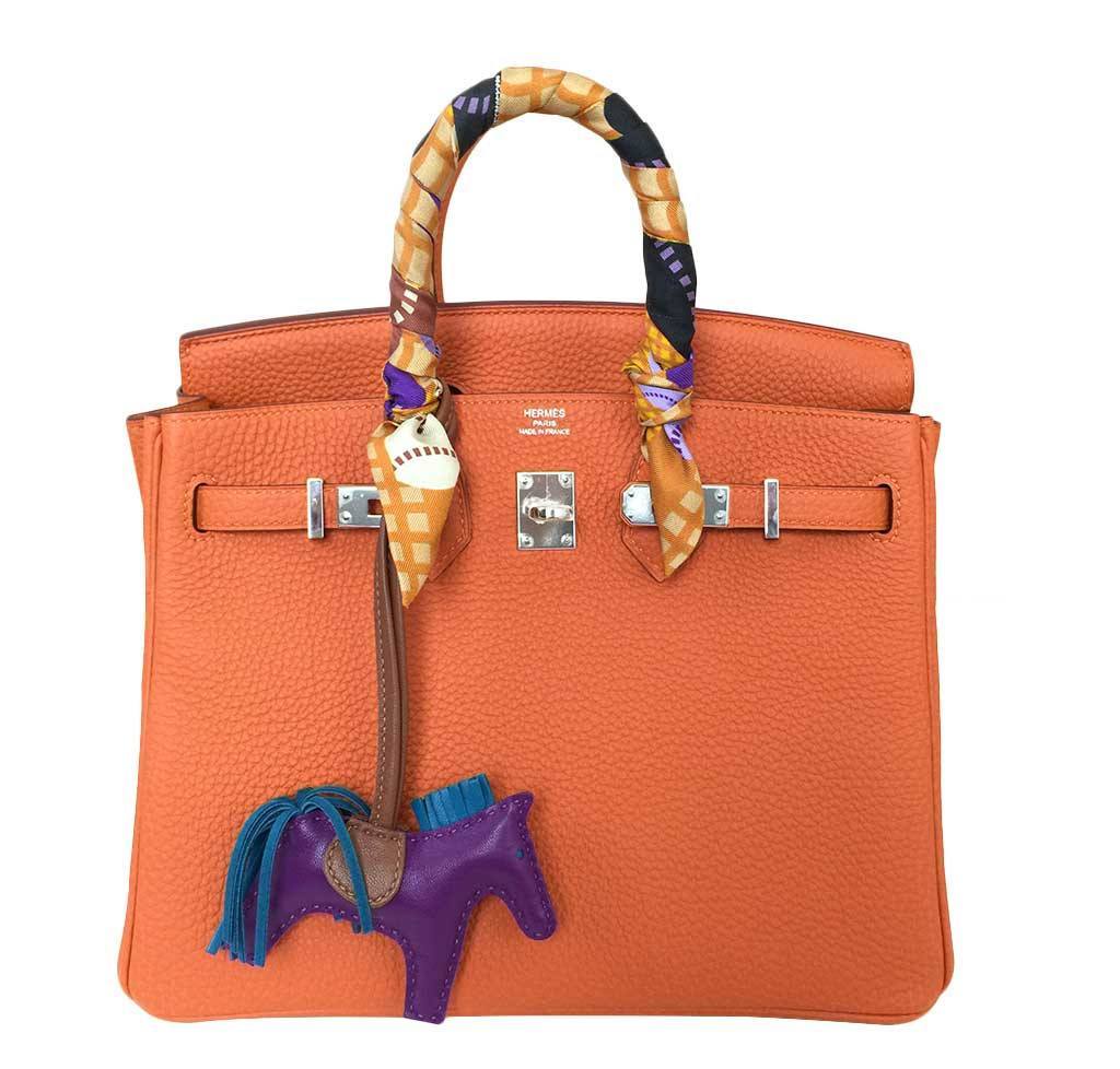 HermÃƒÆ’Ã‚Â¨s Birkin 25 Feu Clemence Bag