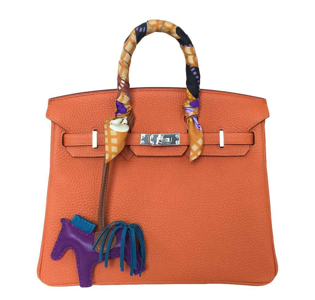 HermÃƒÆ’Ã‚Â¨s Birkin 25 Feu Clemence Bag