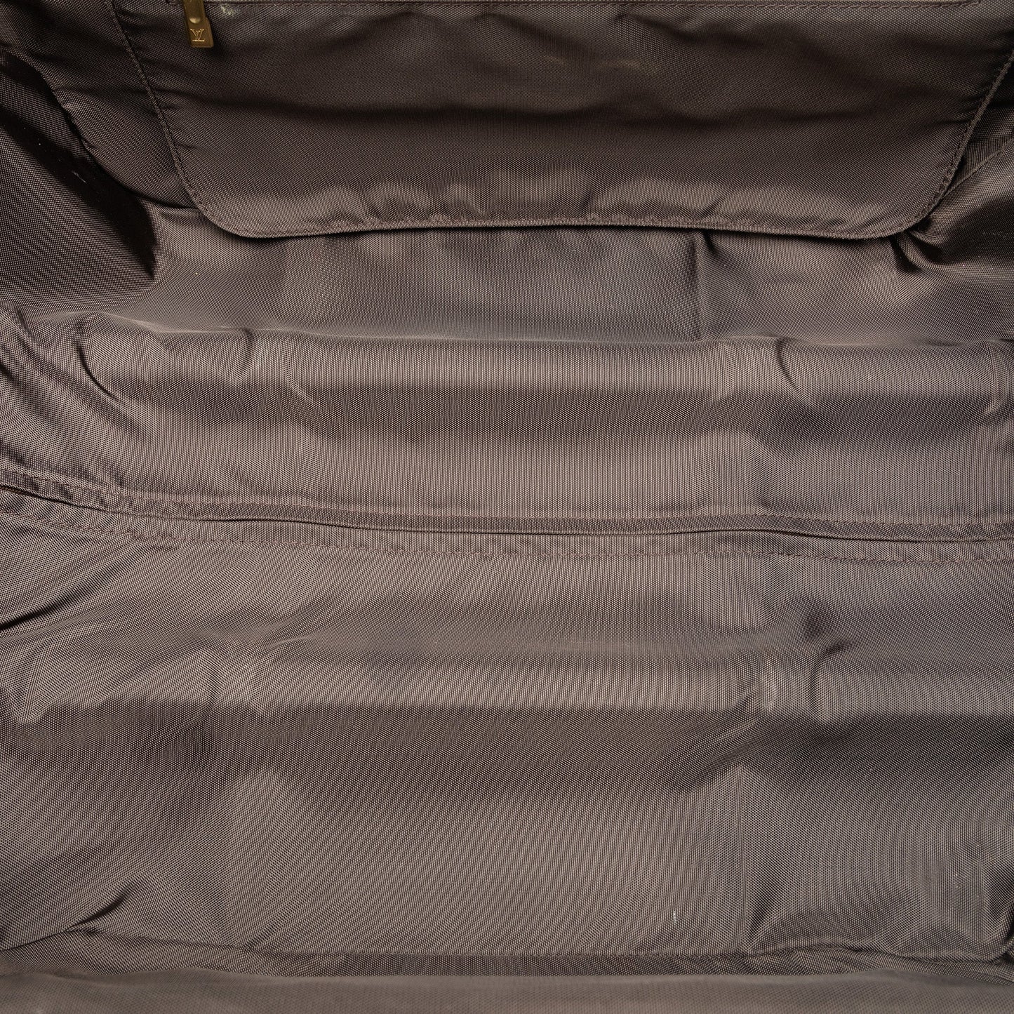 Brown Louis Vuitton Monogram Pegase 55 Travel Bag