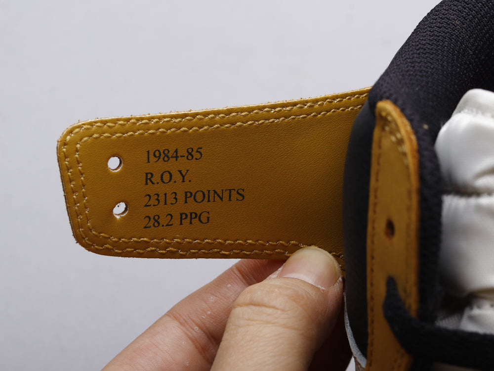GLM - AJ1 Rookie