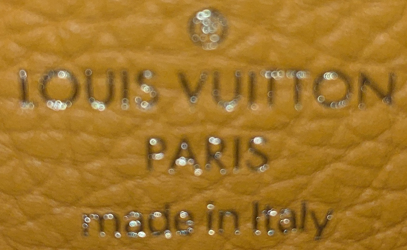 Louis Vuitton LV Pont 9 Soft Bag Leather PM