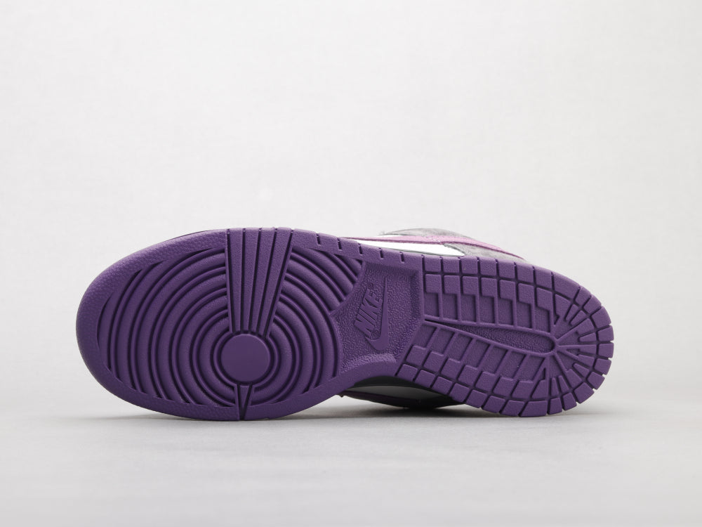 GLM - Grey-purple pigeon