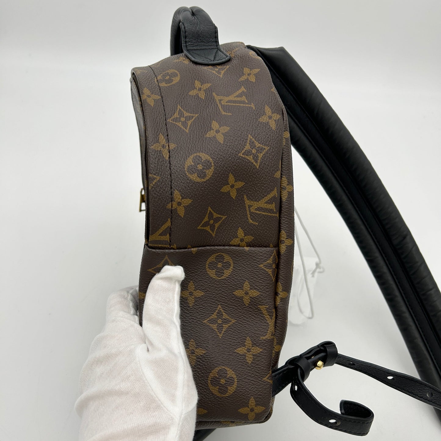 LOUIS VUITTON Monogram Palm Springs PM Backpack LA29433