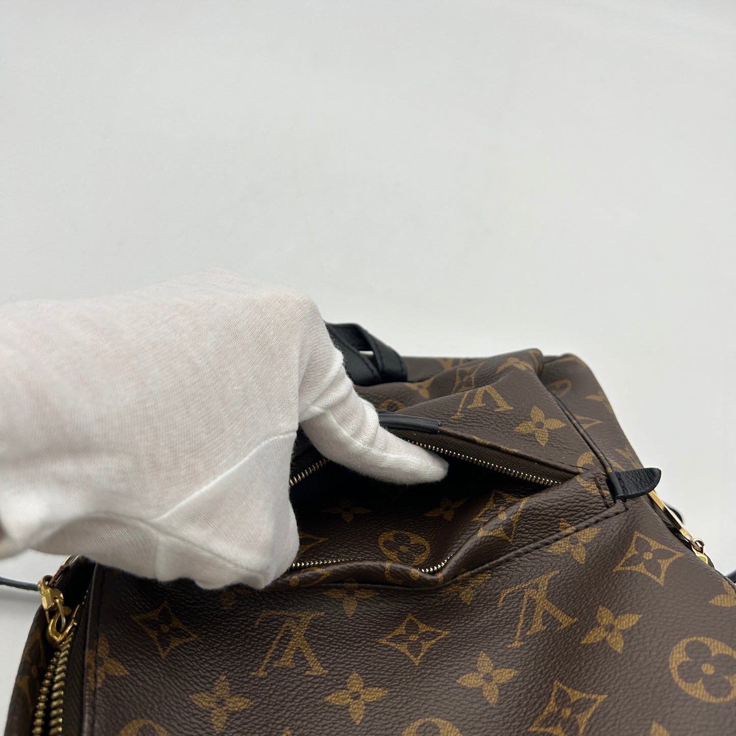 LOUIS VUITTON Monogram Palm Springs PM Backpack LA29433