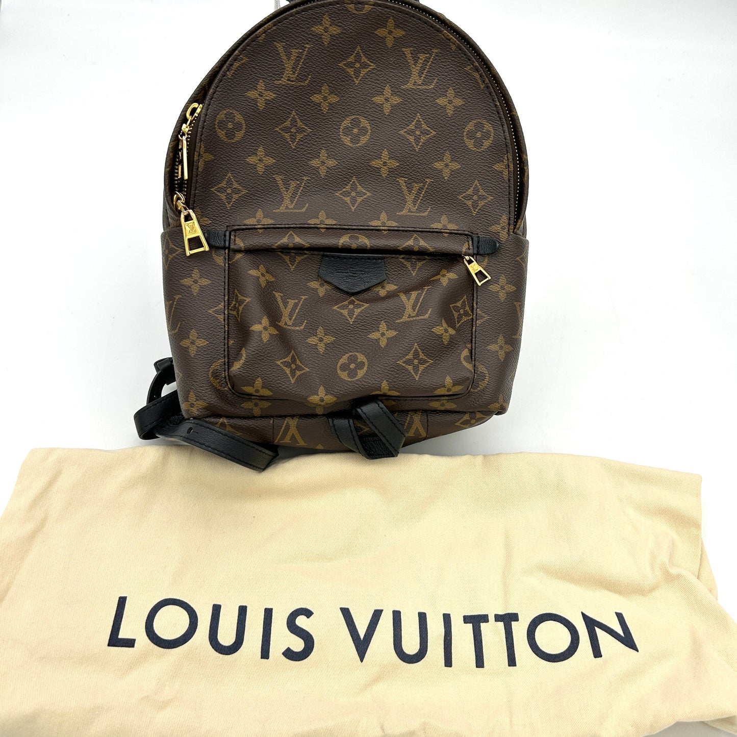 LOUIS VUITTON Monogram Palm Springs PM Backpack LA29433