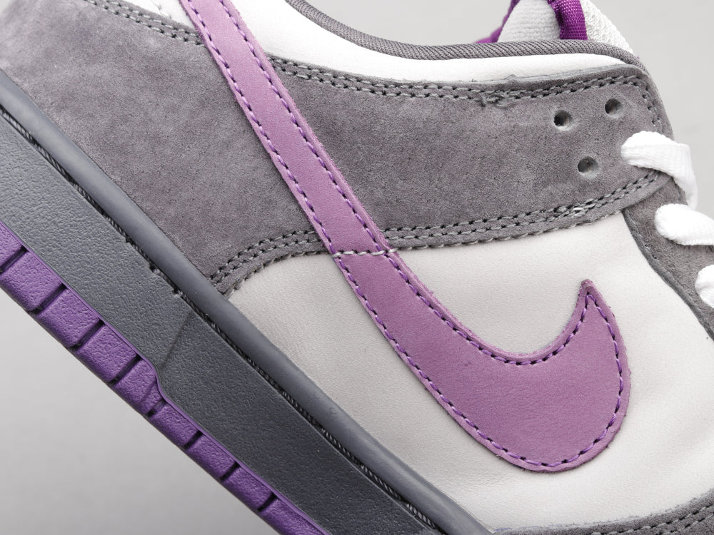 GLM - Grey-purple pigeon