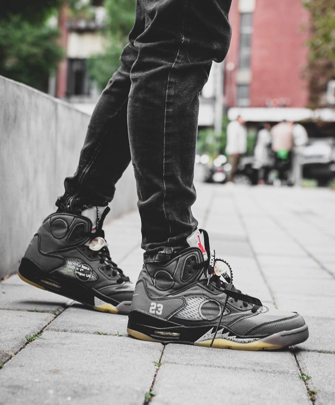 GLM - AJ5 Black Cicada Wing