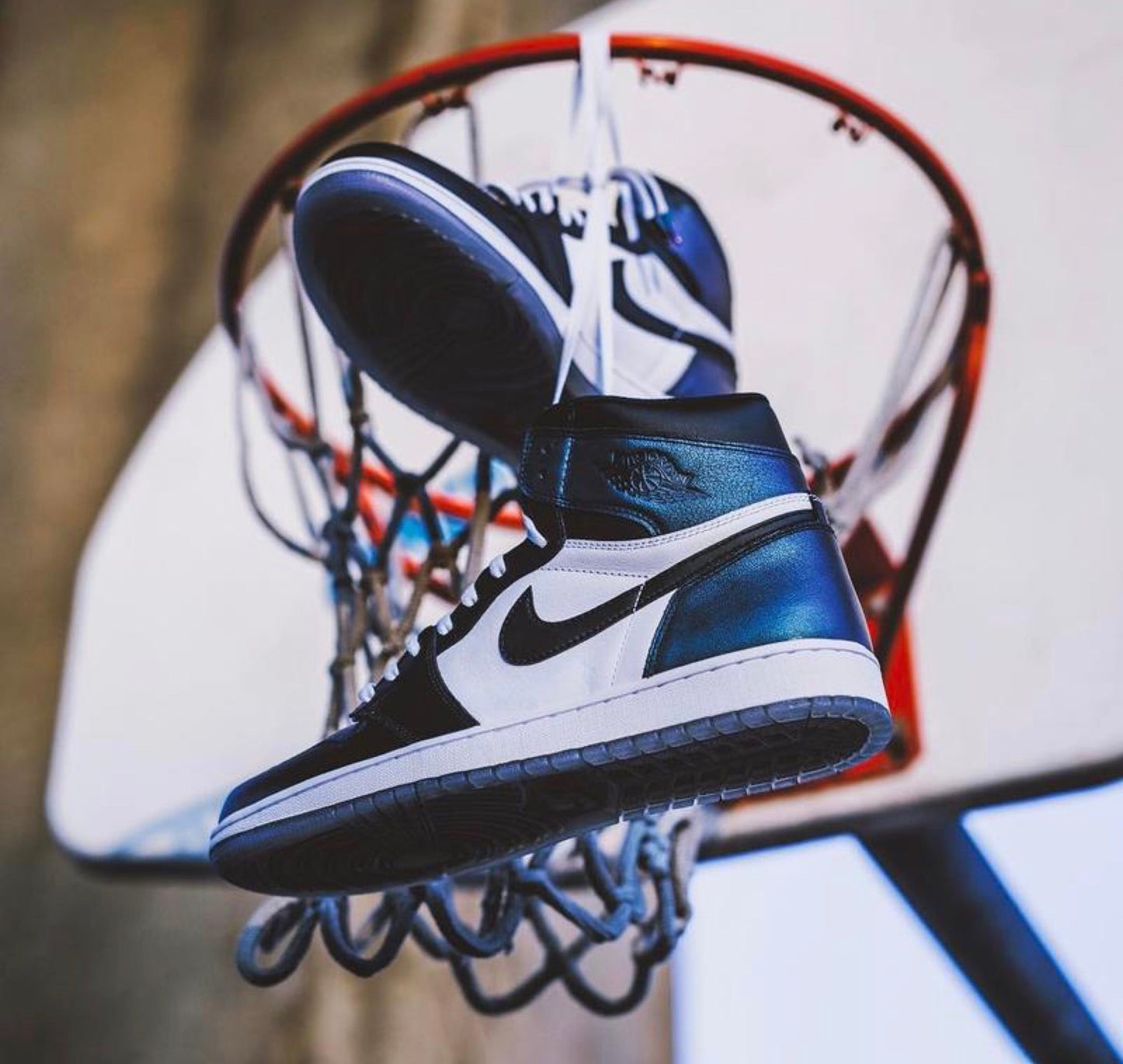 GLM - AJ1 All-Star Chameleon