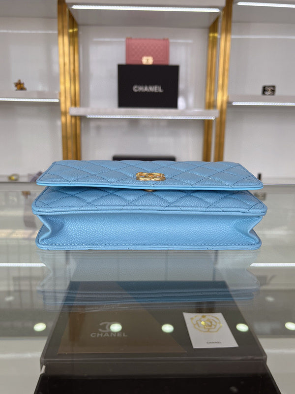 Satchel Bags - CHL Bags - 3187
