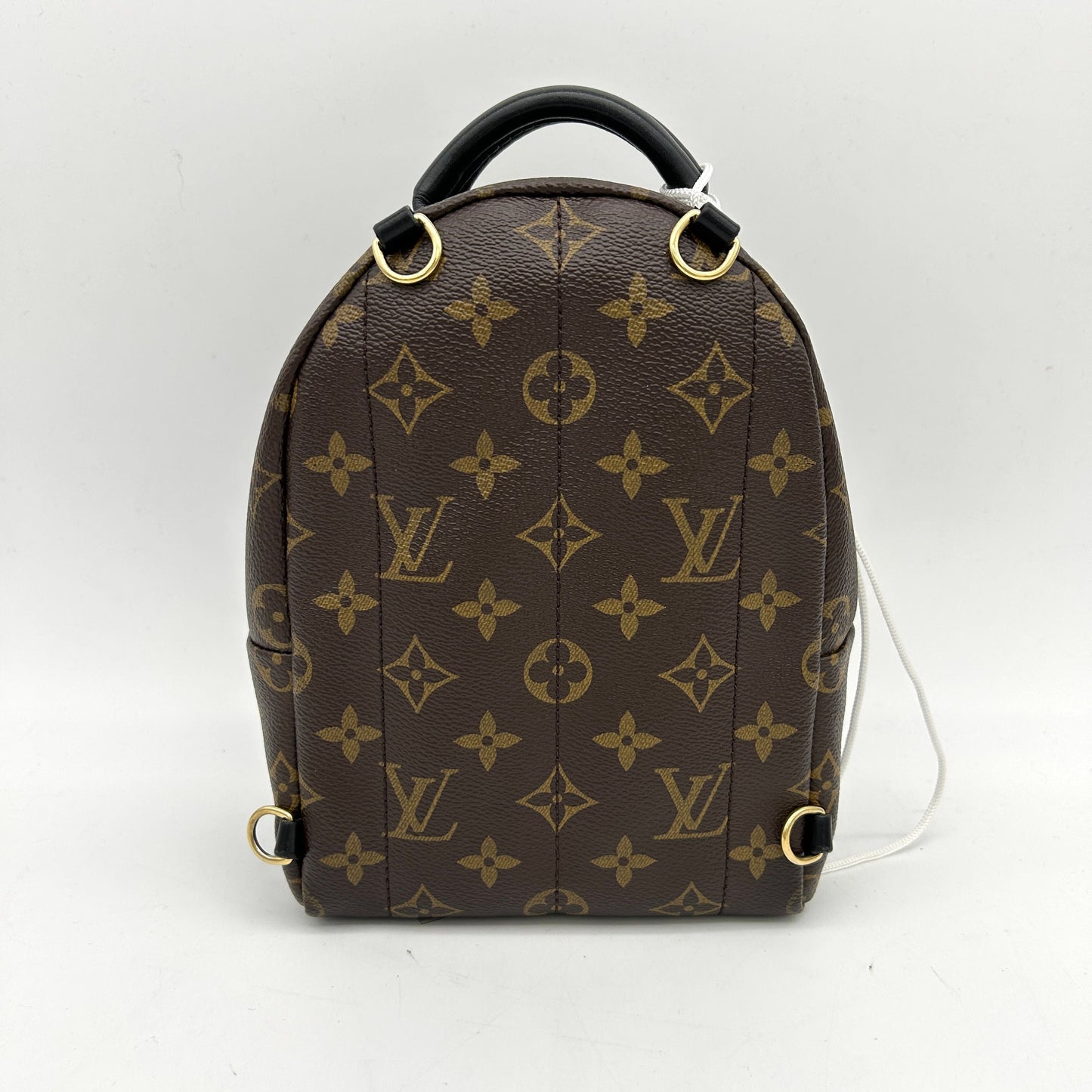Louis Vuitton LV Monogram Palm Springs LA28323