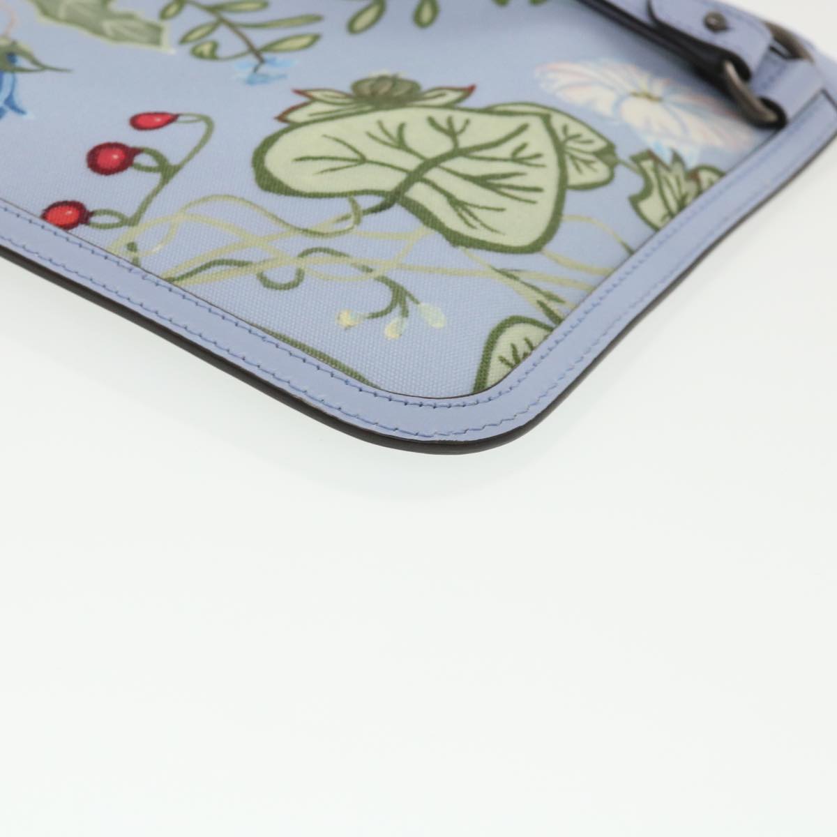 GUCCI botanical illustration Clutch Bag Canvas Blue 379277 34316