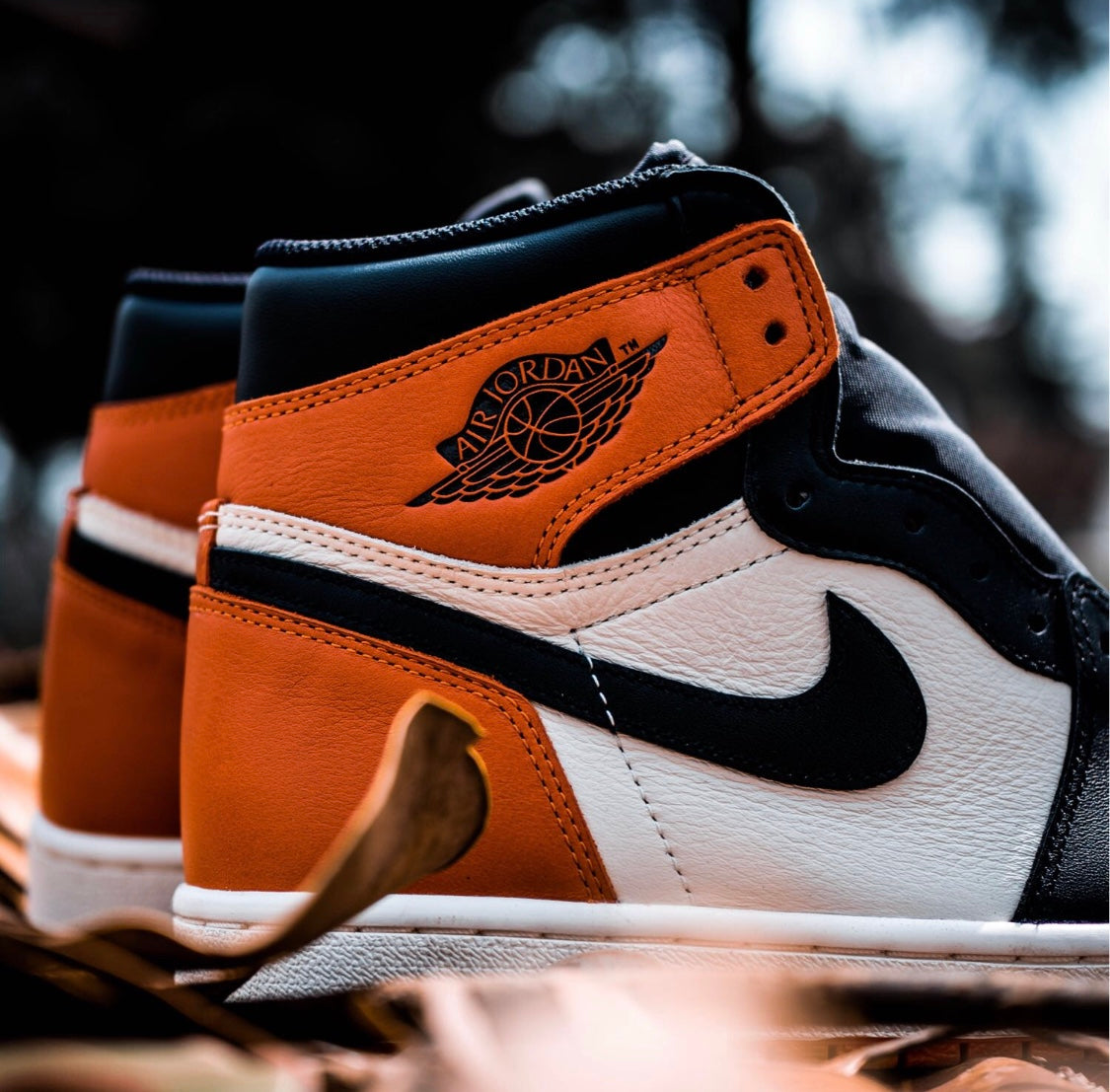 GLM - AJ1 black buckle