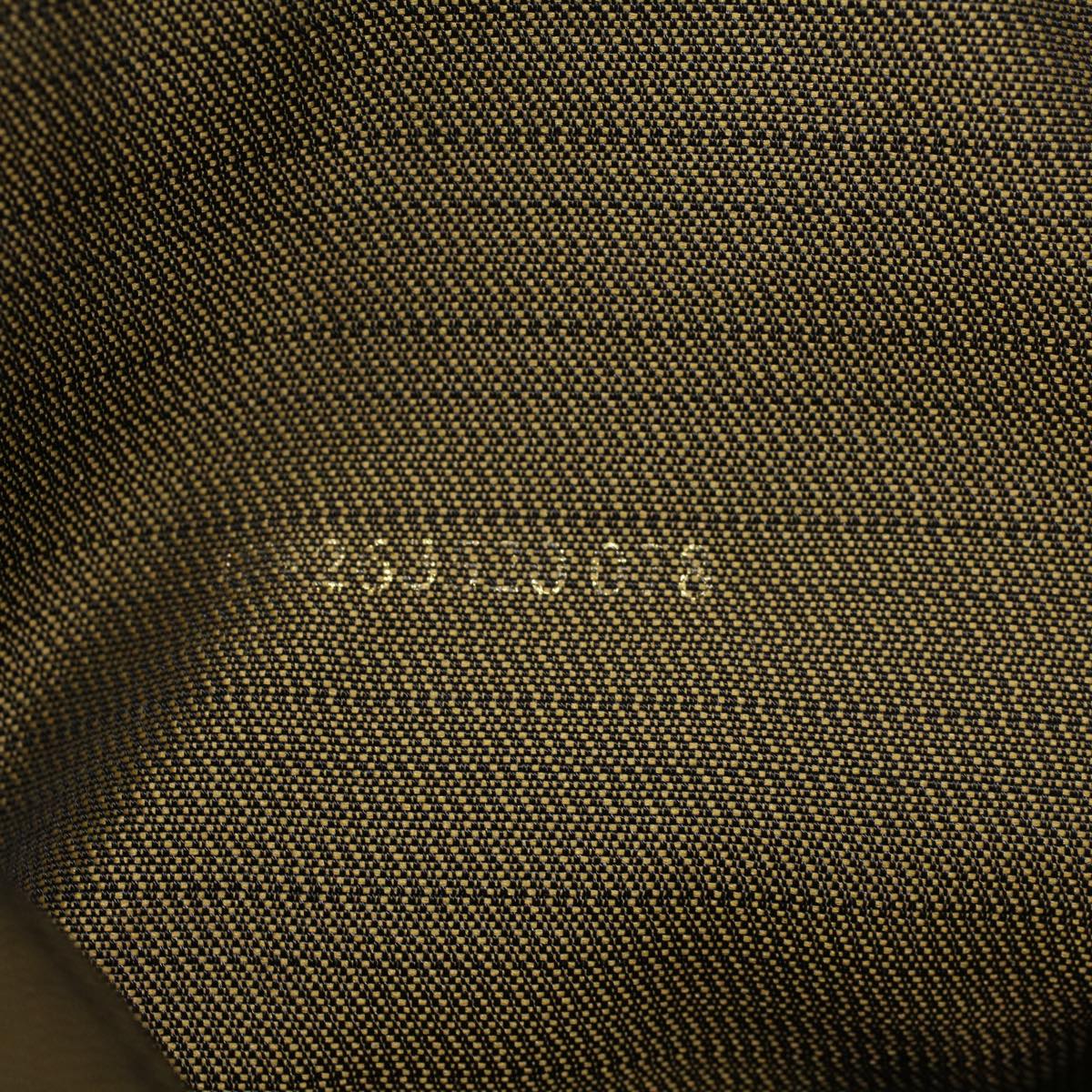 FENDI Zucca Canvas Boston Bag Nylon 2way Brown Black 45632