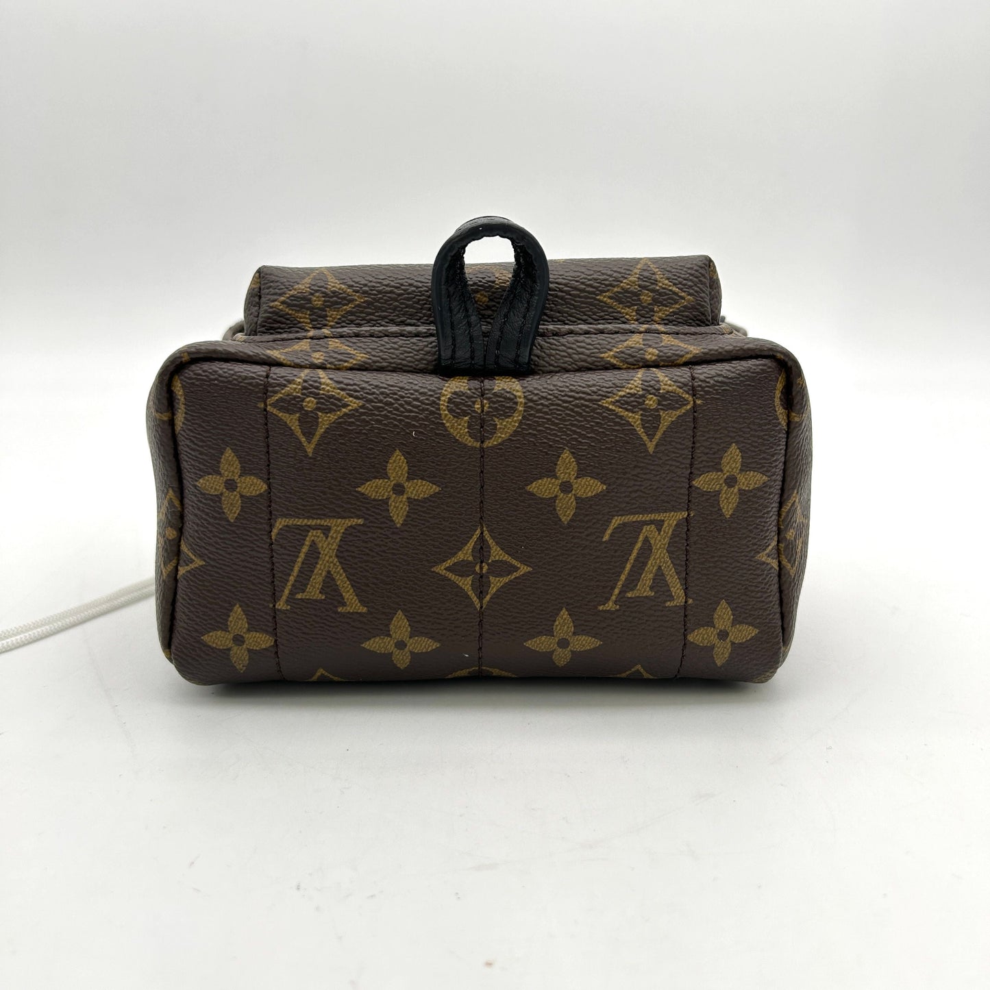 Louis Vuitton LV Monogram Palm Springs LA28323