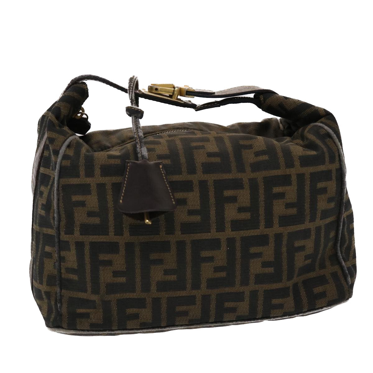 FENDI Zucca Canvas Hand Bag Nylon Brown Black 48233