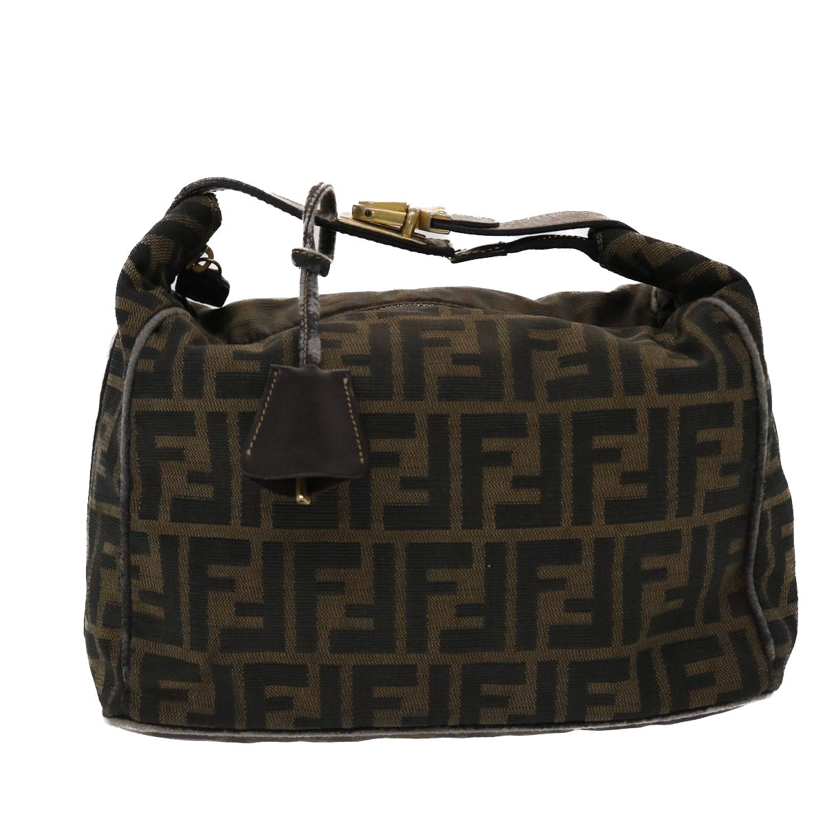 FENDI Zucca Canvas Hand Bag Nylon Brown Black 48233