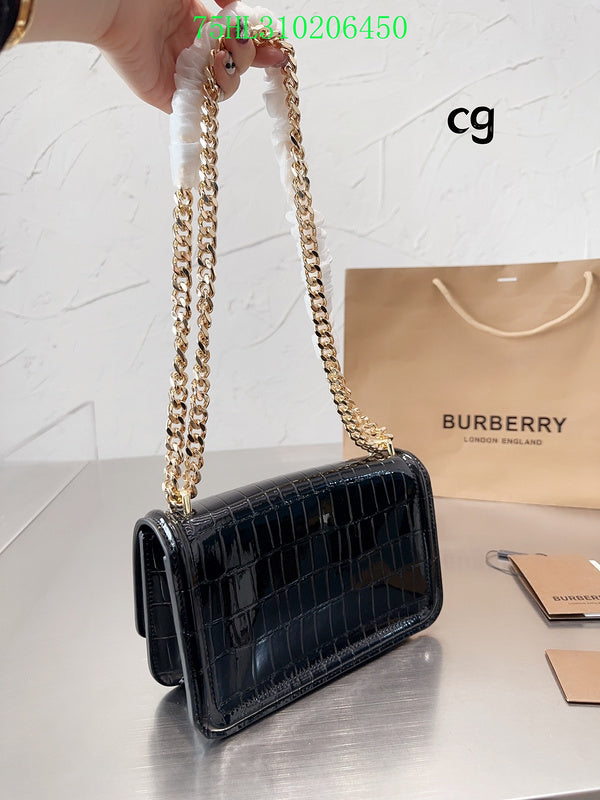 Fan Fashion -GLM - Top quality BBR Bags - 208