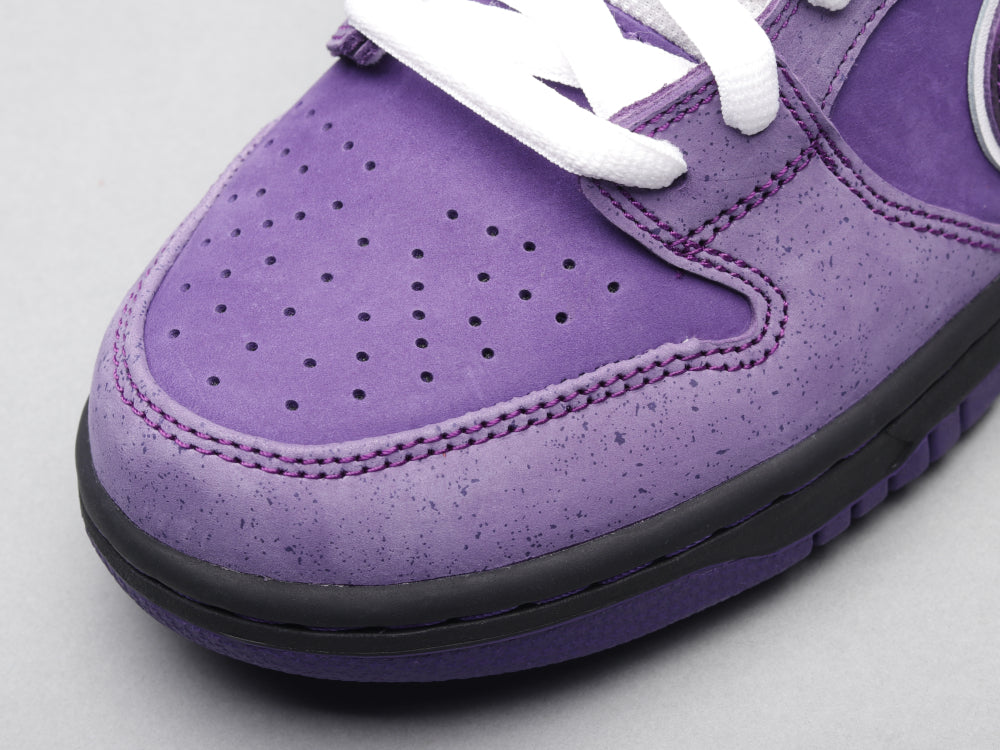 GLM - Concepts Purple Lobster