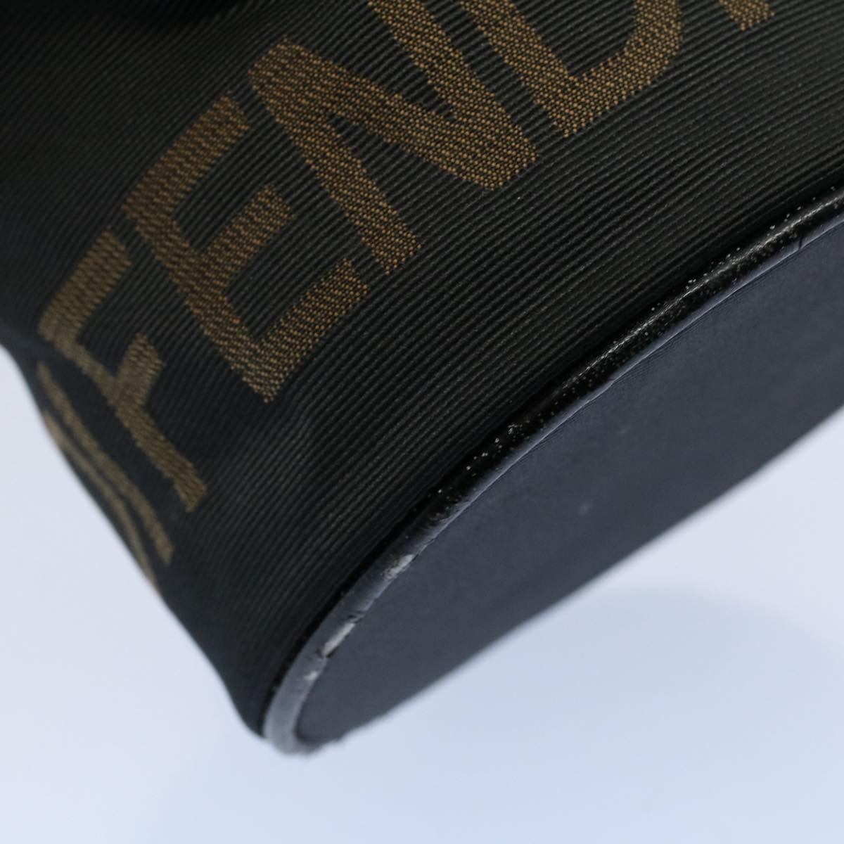 FENDI Vanity Cosmetic Pouch Canvas Black 54858