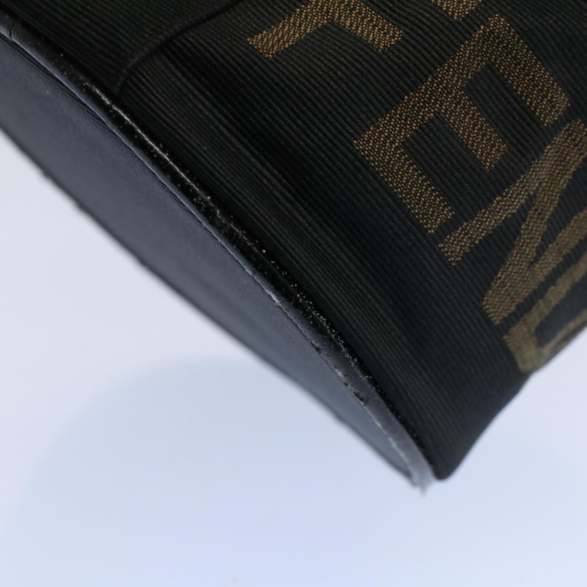 FENDI Vanity Cosmetic Pouch Canvas Black 54858