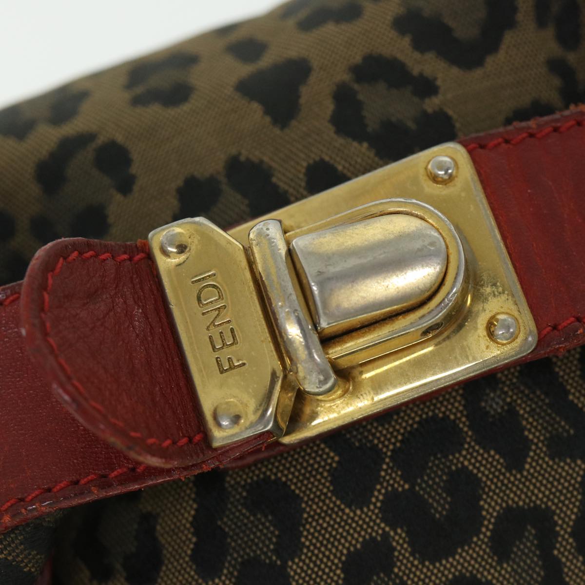 FENDI Leopard Hand Bag Brown Red 55755